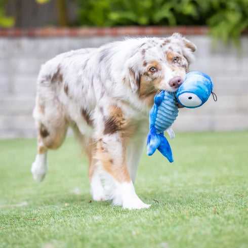 Huxley & Kent Slappies for Dogs | Jack Hammerhead (Small) | Squeak & Shake Toy, TPR Ball in Head