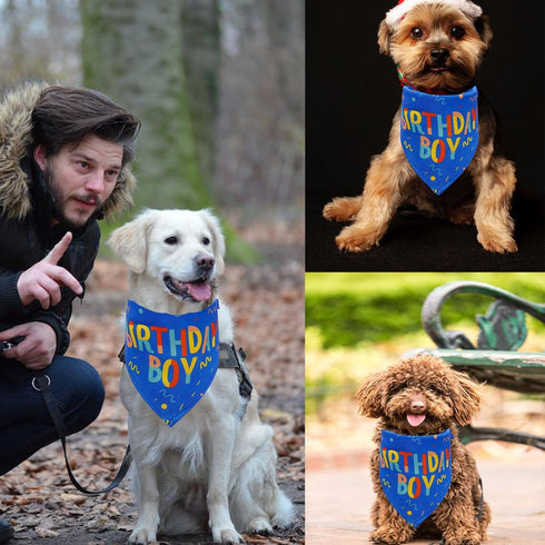 Birthday Boy Dog Bandana - Printed Pet Scarf for Dog Birthday Party Supplies and Accessories