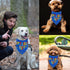 Birthday Boy Dog Bandana - Printed Pet Scarf for Dog Birthday Party Supplies and Accessories