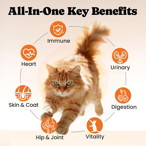 12 5 Immune, 450 Cat Vitamin Treats with L-Lysine & Taurine Essential Vitamins & Minerals, Cat Multivitamin Supplement
