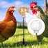 moyardow Entertained(2 Pack) Peck Toy, Interactive Slow Feed Release Toy for Your Flock, Chicken Slow Feeder Boredom