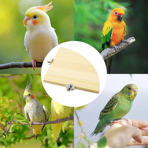 Asofelk 17CM Natural Wooden Bird Perch Platform - Flat Bird Cage Stand for Parrots, Budgies & Cockatiels - Resting