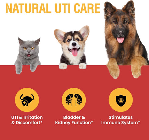 Cranberry UTI Supplement for Cats and Dogs - Urinary Tract Infection Treatment, Kidney and Bladder Support, 2 oz