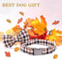 Unique Style Paws Adjustable Fall Dog Collar with Bowtie, Pet Gift for Small Medium Large Dogs