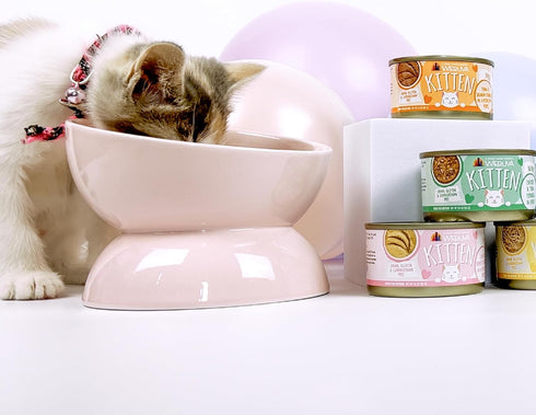 Pack, 3oz (Pack 12) Weruva Kitten, Kitten Can Jam! Variety Can