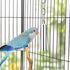 Stainless Steel Bell Toy for Bird Cage - Hanging Bite Toy for Parrot, Parakeet, Budgie, Cockatiel (2 PCS-S)