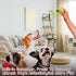 Colorful Squeaky Tennis Balls for Dogs, Easy Catching Pet Dog Balls 12 Pack (2.5inch-6colors)