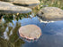 AQUA KT Aquatic Turtle Round Floating Dock, Tortoise Basking Platform with Suction Cup for Reptile Decoration