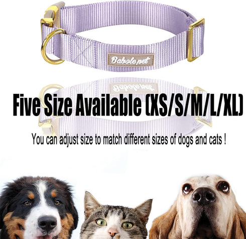 Babole Nylon Dog Collars in Lavender for Small Puppy Dogs, 13 Colors, Adjustable Soft Comfortable Collars with Safety