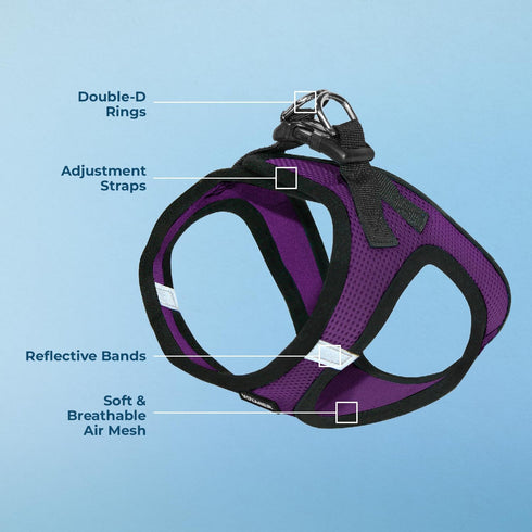 Voyager Step-in Air Dog Harness - All Weather Mesh, Reflective No Pull Harness for Small, Medium Dogs