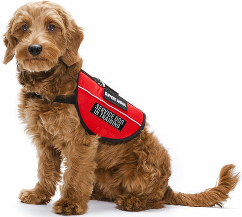 2 Pcs Reflective Service Dog in Training Patch Set, Hook and Loop Fastener for Dog Vest Harness