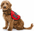 2 Pcs Reflective Service Dog in Training Patch Set, Hook and Loop Fastener for Dog Vest Harness