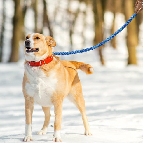 Mile High Life Mountain Climbing Dog Rope Leash, Genuine Leather Connection, 48 Inch
