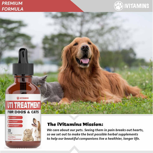 Dog UTI Treatment and Cat UTI Medicine, Cranberry Supplement for Dogs and Cats, 1 fl oz
