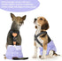 3 Pack BDD01L CuteBone Dog Diapers Female Reusable Doggy Diapers with One Suspender for Small Medium Large Dog Period