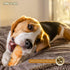 Fieldcrest Farms Nothin to Hide Flip Chips Dog Chews - All Natural Rawhide Alternative, Chicken, Beef or Peanut Butter