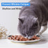 Stainless Steel Cat Dishes for Food and Water, 2 Sets Shallow Style, Relief of Whisker Fatigue (6.5 Inch)