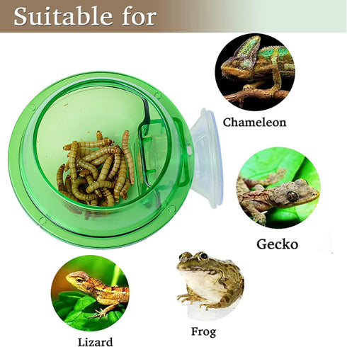 Tfwadmx Chameleon Bowl, Reptile Feeding Feeder, Water Dish Gecko Ledge Suction Cup Feeder, 2 Pcs