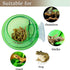 Tfwadmx Chameleon Bowl, Reptile Feeding Feeder, Water Dish Gecko Ledge Suction Cup Feeder, 2 Pcs