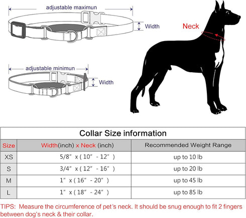 PLUTUS PET Reflective Martingale Collar with Quick Snap Buckle, No Pull Choker for Small Medium Large Dogs, L, Purple