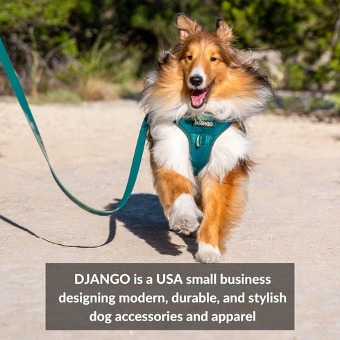 DJANGO Adventure Dog Leash, Strong and Comfortable with Padded Handle, Crimson Red