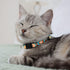 CollarDirect Cat Collar Breakaway - Set of 2 PCS with Removable Bell