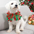 cyeollo 2 Pack Dog Collar Elastic Adjustable Valentines Holiday Collars Pom Pom Ornaments for Pet Party Accessory for Medium Dogs