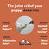 Dog Glucosamine Supplement, Supports Hip & Joint Health, Glucosamine for Dogs, 1 fl oz
