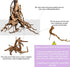 8 Pack Natural Driftwood - Aquarium Decor Spider Wood for Freshwater Fish Tank, Reptile Driftwood Branch (4"-6")