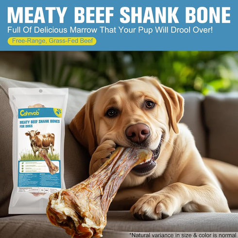 Cahnvob 8'' (1 Count) Real Beef Bones for Dogs with Meat - Big Dog Bones Beef Shank Bone, Rawhide-Free Long-Lasting