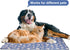 Langsprit Dog Cooling Mat, Washable Non-Toxic Cooling Pads for Dogs & Cats, Summer Sleeping Kennel Mats, Small Ice