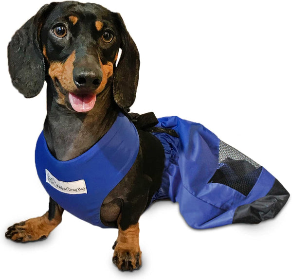 Drag Bag for Paralyzed Rear Legs - Indoor Dog Wheelchair Alternative, Durable Nylon, Breathable & Comfortable for Chest