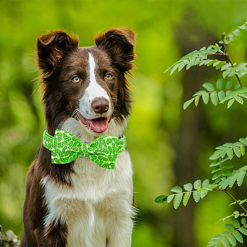 Lionheart Glory Dog Bow Collar with Cucumbers Print for Large Dogs, Adjustable Green Spring Collar with Bowtie