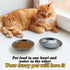 Hamiledyi 12 Pcs Stainless Steel Cat Bowls - Replacement Plates for Whisker Fatigue Relief