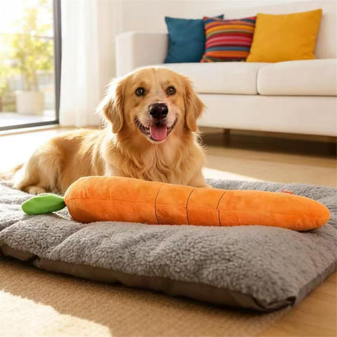 Generic (29.5inch) Giant Carrot Dog Toy, Puppy Teething Toy with Squeaker & Crinkle, Indoor Outdoor Play