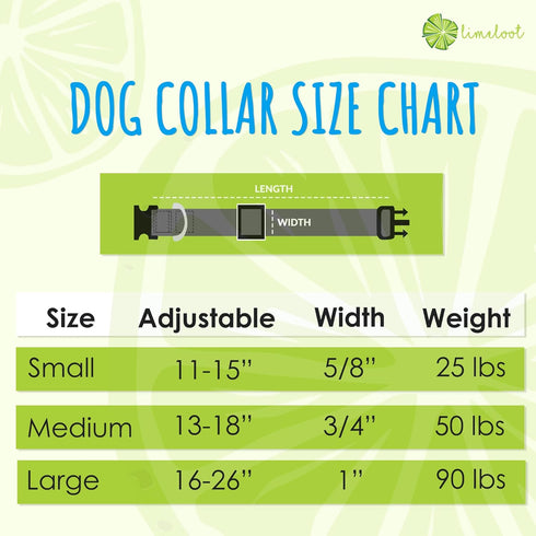 Limeloot Sharks Dog Collar, Summer Themed for Male and Female Dogs, Medium Size