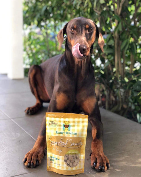 Freeze Dried Superfood Snacks for Dogs, Pumpkin + Kale, All Natural Dog Treat