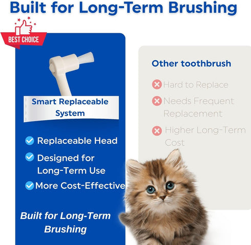 15 2EA MIND UP Cat Toothbrush with Detachable Head, Angled Handle for Comfortable Brushing, Includes Spare Brush Head