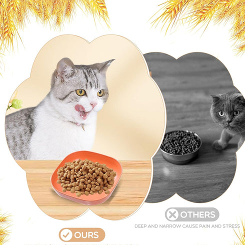 Cat Food Bowl Set, 6 inch Wide Shallow Bowls for Relief Whisker Fatigue, Flat Pet Feeding Dish for Cats (4PCS)