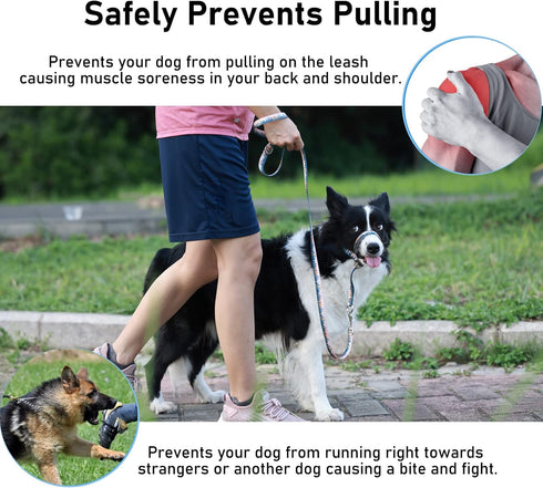 BARKLESS Dog Head Collar, Anti-Pulling Halter with Leash, Adjustable Clip for Small Medium Large Dogs, Perfect for