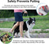 BARKLESS Dog Head Collar, Anti-Pulling Halter with Leash, Adjustable Clip for Small Medium Large Dogs, Perfect for