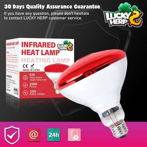 250 Bulb 1 Pack, Bulb LUCKY HERP Infrared Heat Lamp for Chickens - Watts Red Heat Lamp Heat Light for Brooder Coop