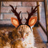 Beaupretty Christmas Hat for Cat Pet Deer Costume, Adjustable Antler Headband for Dog Reindeer Cosplay