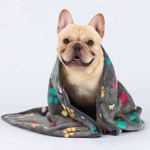 Luciphia 1 Pack 3 Fluffy Premium Fleece Pet Blankets, Paw Printed Throw for Dog Cat (Small 23x16'', Grey/Brown/Blue)
