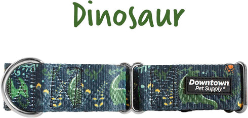 Downtown Pet Supply Martingale Collar for Dogs, Big Wide Thick Dog Training Collar, Escape-Proof, Dino, Small