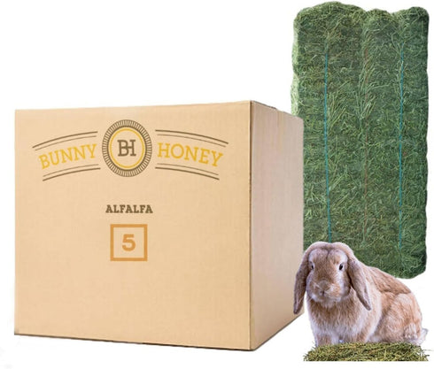 Bunny Honey Organic Alfalfa Hay for Bunnies 12 lb Dim wt/5 lb