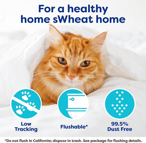 Natural Wheat Cat Litter, 14 Pound Bag, Original, Fast Clumping with Odor Neutralizing Enzymes