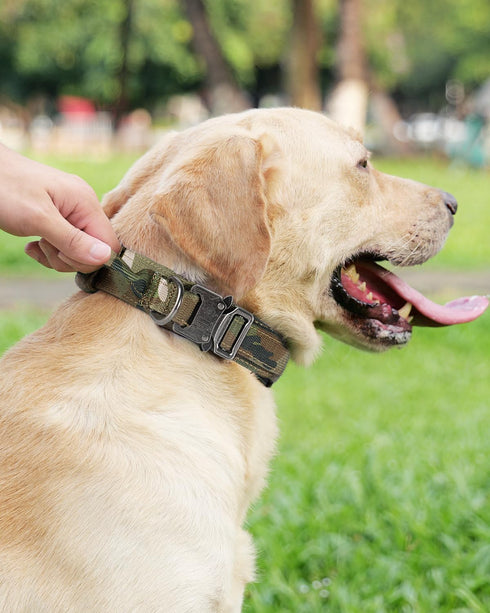 Joytale Tactical Dog Collar with Handle - Heavy Duty Military Collar with 2 Patches for Training (XL, Camouflage)