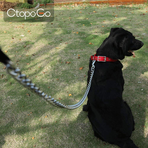 CtopoGo Heavy Duty Dog Leash - Metal Dog Chain with Padded Handle for Large & Medium Dogs (6 ft. x 3.0 mm)