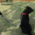 CtopoGo Premium Chain Heavy Duty Dog Leash, Soft Padded Leather Handle Lead, 4 ft. x 5.0 mm (60-200 lbs.)